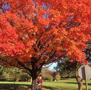 Meet your Posher, Minoo